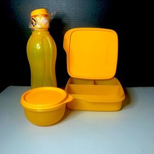 Tupperware Lunch Set